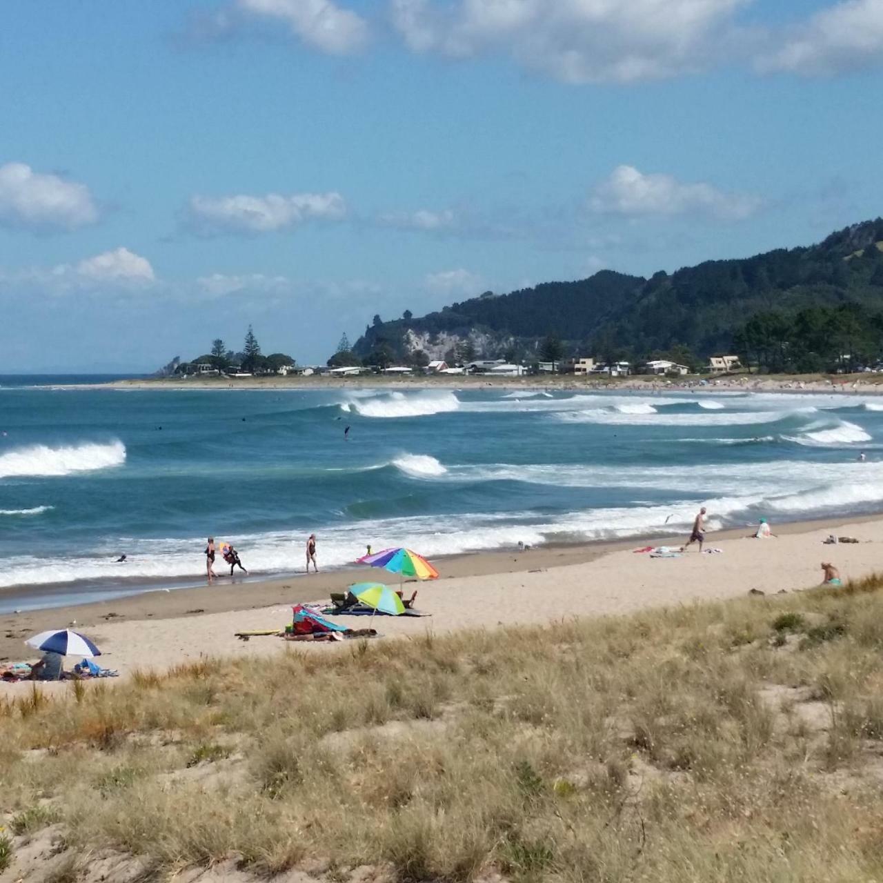 Amazing Kiwi Lodge Whangamata Luaran gambar